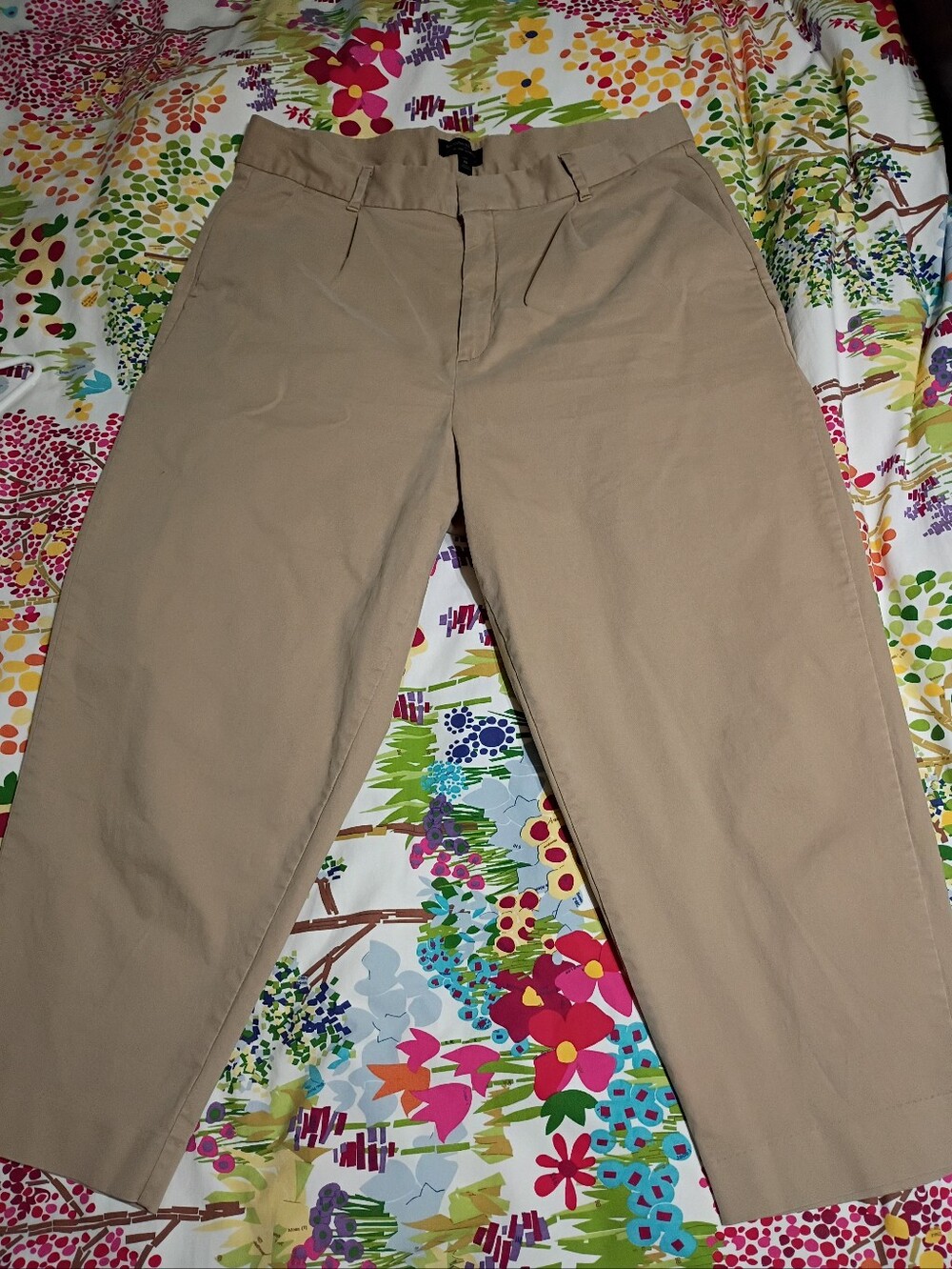 Banana Republic Khaki/Tan Pleated Crop Chino Pants Size 18 Petite